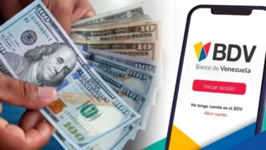 Fácil y rápido: Estos son los pasos para solicitar una cuenta en divisas del BDV en línea 