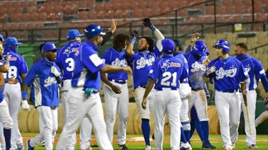 LIDOM: ¿Decepcionarán? Los Tigres del Licey tienen récord negativo en pretemporada