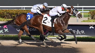 Así quedaron los resultados de las carreras de Gulfstream Park 15-10-2023