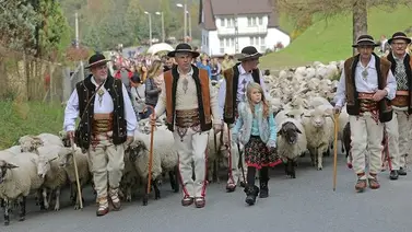 ¡Icónica y tierna celebración! Polacos celebran este domingo peculiar tradición otoñal