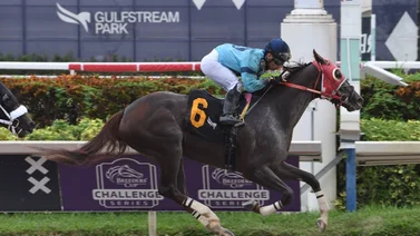 Sonny León sorprende con este ejemplar en Gulfstream Park el fin de semana