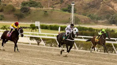 Doble jornada de carreras se disputará en La Rinconada 