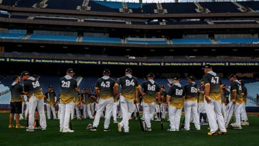 LVBP: Estos son los precios de las entradas de Leones del Caracas para la temporada 2023-2024 (+Fotos)