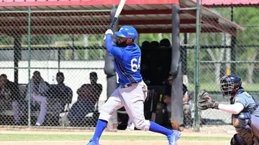 LIDOM: Tigres del Licey una aplanadora frente a Gigantes del Cibao LIDOM: Tigres del Licey una aplanadora frente a Gigantes del Cibao