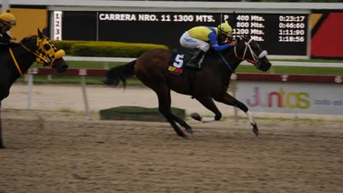 Caribbean Rocket regresa a la pista de La Rinconada luego de 48 días 