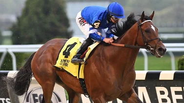 Conoce el precio del servicio de Cody's Wish como semental para el 2024