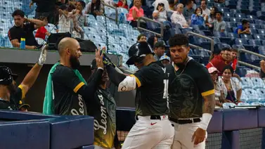 LVBP: ¿Los Leones del Caracas pueden repetir esta cantidad de jonrones en la 2023-2024? LVBP: ¿Los Leones del Caracas pueden repetir esta cantidad de jonrones en la 2023-2024?