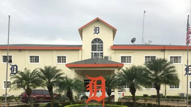 Roban complejo de los Tigres de Detroit en República Dominicana