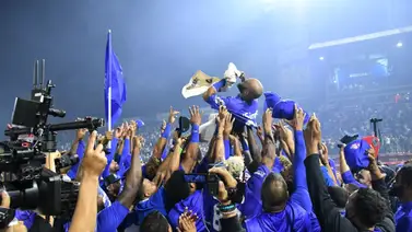 LIDOM: Tigres del Licey anuncian rotación para buscar el campeonato invernal 2023-24 LIDOM: Tigres del Licey anuncian rotación para buscar el campeonato invernal 2023-24