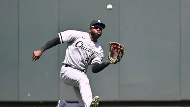 MLB: Dos cubanos nominados al Guante de Oro en los jardines de la Americana