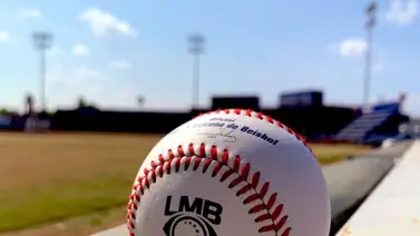 LMB: ¡Oficial! La temporada 2024 de la Liga Mexicana de Beisbol contará con 20 equipos LMB: ¡Oficial! La temporada 2024 de la Liga Mexicana de Beisbol contará con 20 equipos