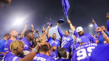 LIDOM: ¿Cuánto cuestan las entradas para los Tigres del Licey en la temporada 2023-2024? LIDOM: ¿Cuánto cuestan las entradas para los Tigres del Licey en la temporada 2023-2024?