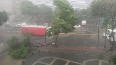 Calles anegadas y árboles caídos dejan las fuertes lluvias en Caracas (+Video)