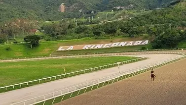 Aquí están los favoritos de la cátedra para el 5y6 Nacional de la reunión 41 en La Rinconada Aquí están los favoritos de la cátedra para el 5y6 Nacional de la reunión 41 en La Rinconada