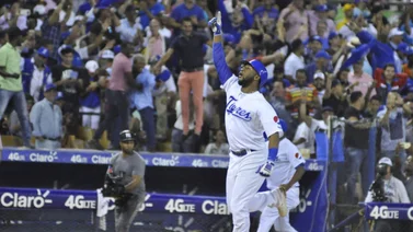 LIDOM: Estos fueron los jugadores de la primera semana en el beisbol dominicano