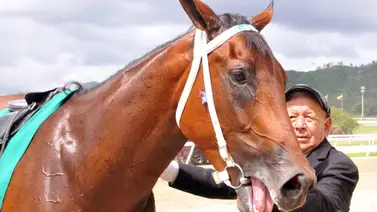 Esta es la nómina oficial del Clásico Internacional Simón Bolívar 2023 Esta es la nómina oficial del Clásico Internacional Simón Bolívar 2023