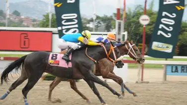 Ángel Castillo montará a este nieto de Taconeo que tiene 154 días sin correr en La Rinconada Ángel Castillo montará a este nieto de Taconeo que tiene 154 días sin correr en La Rinconada