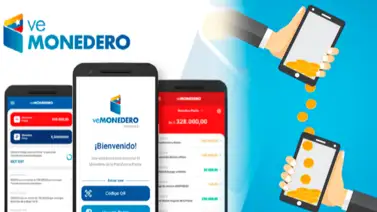 Así puedes verificar el pago de los bonos desde la app VeMonedero de Patria (+Pasos) Así puedes verificar el pago de los bonos desde la app VeMonedero de Patria (+Pasos)