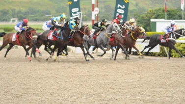 Inscriben  a esta yegua que tiene 210 días sin correr en La Rinconada