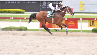 Lyndacarter reaparece para correr en el Clásico Internacional Simón Bolívar 2023 Lyndacarter reaparece para correr en el Clásico Internacional Simón Bolívar 2023