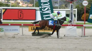 ¿Por qué el Clásico Internacional Simón Bolívar se celebra el último domingo de octubre? Acá te contamos la razón ¿Por qué el Clásico Internacional Simón Bolívar se celebra el último domingo de octubre? Acá te contamos la razón