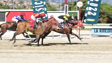 Germán Rojas vuelve a la pista a este caballo que tiene 196 días sin competir en La Rinconada Germán Rojas vuelve a la pista a este caballo que tiene 196 días sin competir en La Rinconada