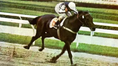 ¿Sabes cuál fue el ejemplar que ganó el primer Clásico Simón Bolívar exclusivo para caballos venezolanos? Aquí te lo mencionamos ¿Sabes cuál fue el ejemplar que ganó el primer Clásico Simón Bolívar exclusivo para caballos venezolanos? Aquí te lo mencionamos