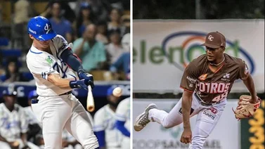 LIDOM: Tigres del Licey y Gigantes del Cibao se vacilan jugar en la carretera (+Números)
