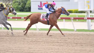 Esta yegua entrenada por Dotwing Fernández retorna a La Rinconada luego de 91 días sin correr Esta yegua entrenada por Dotwing Fernández retorna a La Rinconada luego de 91 días sin correr