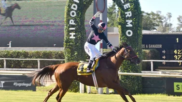 Yegua que iba a representar a Latinoamérica en la Breeders’ Cup queda fuera por esta razón