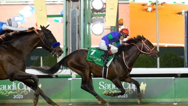 Descubre que día de esta semana inician las actividades el hipódromo donde se corre la carrera mejor premiada del mundo
