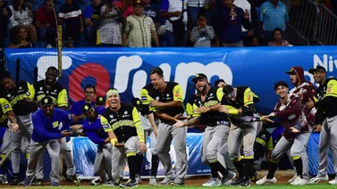 Foto: David Urdaneta 