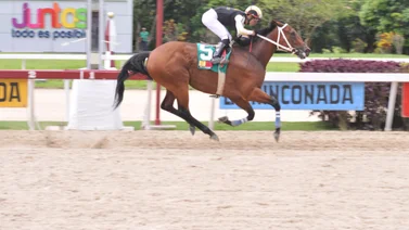 Lyndacarter queda lista para participar en el Clásico Internacional Simón Bolívar con este ajuste 