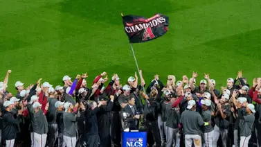 MLB: ¡Éxitos! Estos son los movimientos claves realizados por los D-Backs desde 2016 hasta la Serie Mundial MLB: ¡Éxitos! Estos son los movimientos claves realizados por los D-Backs desde 2016 hasta la Serie Mundial