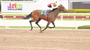 Así queda el ajuste de la línea de Gaceta Hípica para la reunión 42 en La Rinconada Así queda el ajuste de la línea de Gaceta Hípica para la reunión 42 en La Rinconada