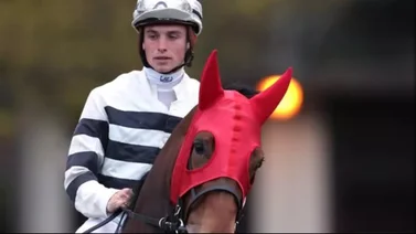 ¡Increíble! Jockey rueda y cae sobre un caballo rival (+video)