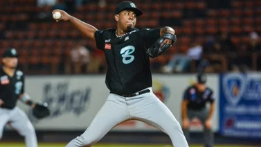 LVBP: Estos son los precios de las entradas de Bravos para enfrentar a Leones (+Foto)