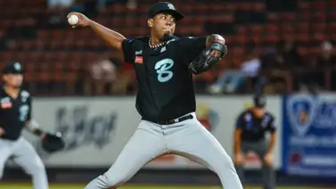 LVBP: Estos son los precios de las entradas de Bravos para enfrentar a Leones (+Foto) LVBP: Estos son los precios de las entradas de Bravos para enfrentar a Leones (+Foto)