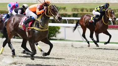 Estos son los favoritos de la cátedra para el 5y6 Nacional de la reunión 42 en La Rinconada Estos son los favoritos de la cátedra para el 5y6 Nacional de la reunión 42 en La Rinconada