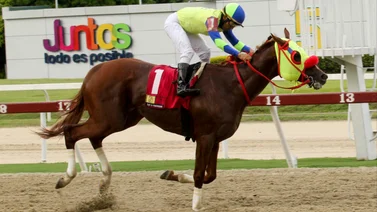 Rod Hendrick queda preparado para competir en el Clásico Internacional Simón Bolívar con este ajuste
