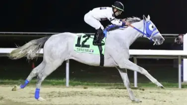 Jinete venezolano que monta en Estados Unidos se fisura dos vértebras por una rodada Jinete venezolano que monta en Estados Unidos se fisura dos vértebras por una rodada