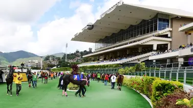 Datos de Última Hora para el Hipódromo La Rinconada 29-10-2023 Datos de Última Hora para el Hipódromo La Rinconada 29-10-2023