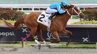 Mage no correrá la Breeders' Cup Classic y esta es la razón