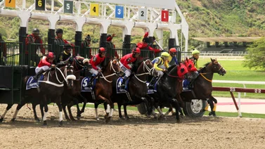 Entérate del monto récord sellado del 5y6 en La Rinconada 