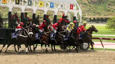 Entérate del monto récord sellado del 5y6 en La Rinconada Entérate del monto récord sellado del 5y6 en La Rinconada