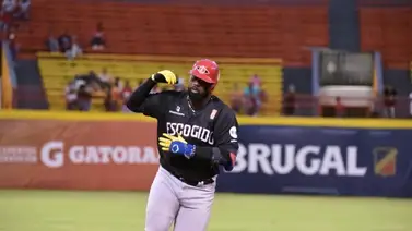 Liga Dominicana de Beisbol: Franmil Reyes se une a Vladimir Guerrero Jr. Como los últimos en realizar esta hazaña Liga Dominicana de Beisbol: Franmil Reyes se une a Vladimir Guerrero Jr. Como los últimos en realizar esta hazaña