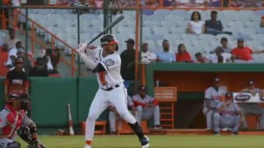 Liga Dominicana de Beisbol: Toros del Este hunde a Leones del Escogido Liga Dominicana de Beisbol: Toros del Este hunde a Leones del Escogido