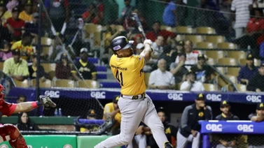 Liga Dominicana de Beisbol: Águilas Cibaeñas vienen de atrás y derrotan a su clásico rival Tigres del Licey