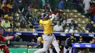 Liga Dominicana de Beisbol: Águilas Cibaeñas vienen de atrás y derrotan a su clásico rival Tigres del Licey Liga Dominicana de Beisbol: Águilas Cibaeñas vienen de atrás y derrotan a su clásico rival Tigres del Licey