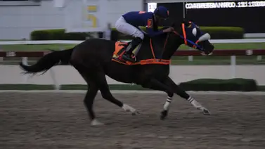 Este es el tiempo que tenía Abraham Campos sin ganar en La Rinconada Este es el tiempo que tenía Abraham Campos sin ganar en La Rinconada